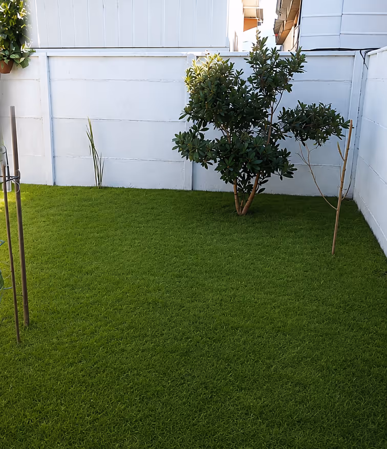 Pasto en rollo — imagen 4